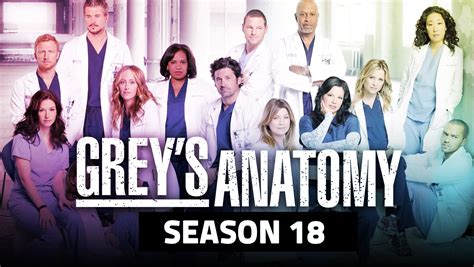 Grey's Anatomy Season 18 Release Date On Netflix Grey's Anatomy Season 18 Release Date And Renewal Status - OtakuKart